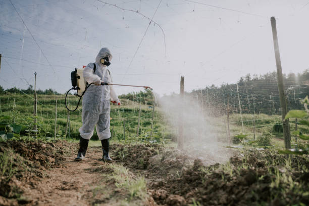 Best Ant Control Services  in Mabank, TX
