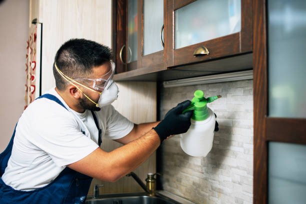 Reliable Mabank, TX Pest Control Solutions