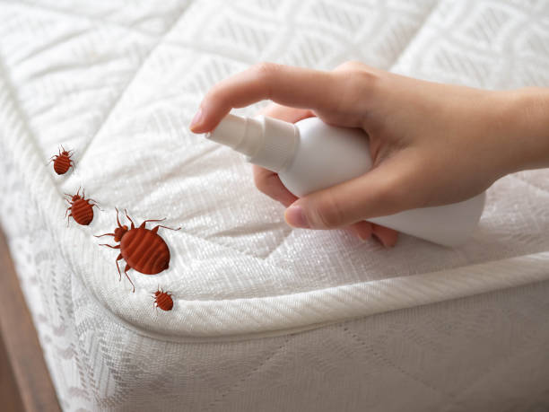 Mabank, TX Pest Control Company