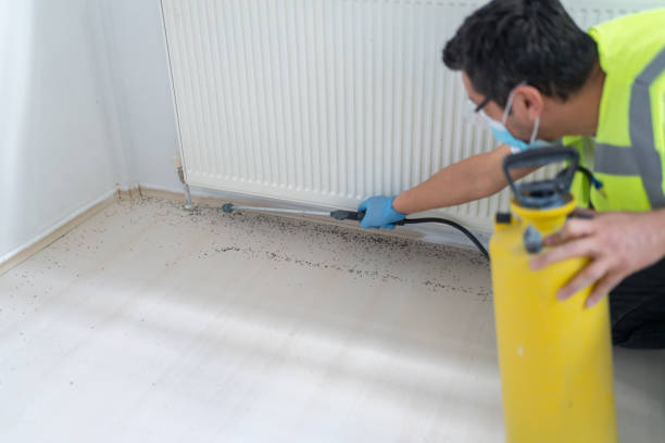 Wasp Removal Services in Mabank, TX